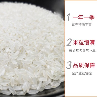 东北舒兰大米24年新米富硒米吉兰大米米饭Q弹入口甘甜松软油亮图2