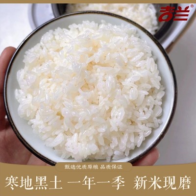 2024年东北新大米吉林舒兰吉兰长粒香5kg粒粒饱满 双层真空包装图4