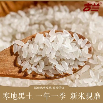 2024年东北新大米吉林舒兰吉兰长粒香5kg粒粒饱满 双层真空包装图2