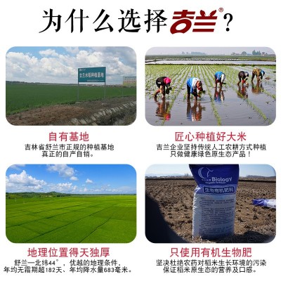 24年东北吉林舒兰新大米吉兰长粒香2.5kg米粒整齐 米香浓郁真空装图3