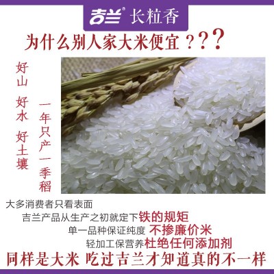 24年东北吉林舒兰新大米吉兰长粒香2.5kg米粒整齐 米香浓郁真空装图2