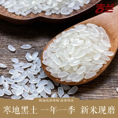 舒兰大米东北吉林新大米吉兰贡米5kg粳米真空包装10斤基地直发图2