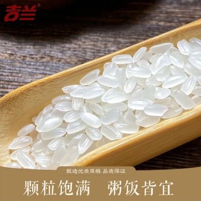 舒兰大米东北吉林新大米吉兰贡米5kg粳米真空包装10斤基地直发图3