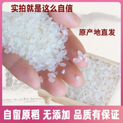 2024年东北吉林舒兰新大米吉兰秋田小町5kg当季新米真空包装食堂图3