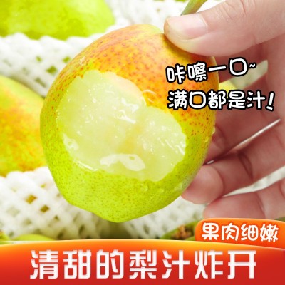 正宗新疆库尔勒香梨新鲜应季水果整箱9斤大果全母梨梨子顺丰包邮图3