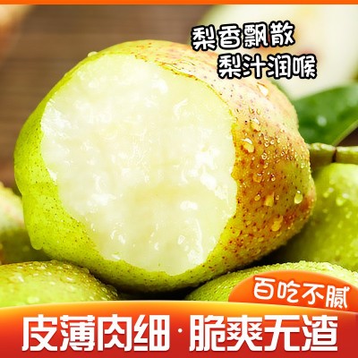 正宗新疆库尔勒香梨新鲜应季水果整箱9斤大果全母梨梨子顺丰包邮图4