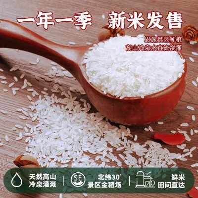 湖北恩施大米富硒大米恩施5kg新米长粒非黑龙江五常大米10斤煲仔图4