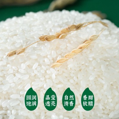 隆平芯米耐盐碱有机大米有机种植软糯真空袋包装盘锦粳米5kg一袋图5