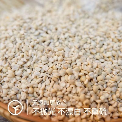 口感细腻软糯粘香云南老品种糯意仁新米薏仁米500gX2盒包装大米图3