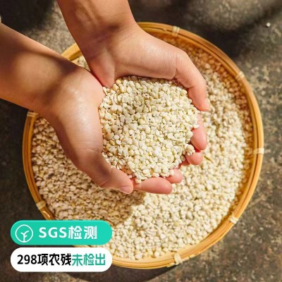 口感细腻软糯粘香云南老品种糯意仁新米薏仁米500gX2盒包装大米图2