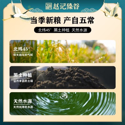 五常大米五常稻花香米袋装东北大米工厂货源批发一件代发长粒大米图2