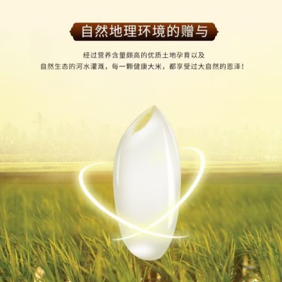 广西源头九七香米5kg厂家直供批发可团购多规格可选图4