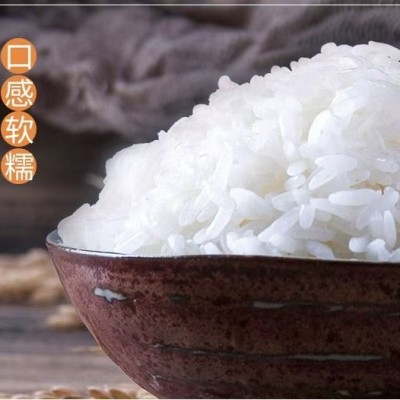 广西象牙香米25kg50斤厂家批发代发直发团购优惠图2