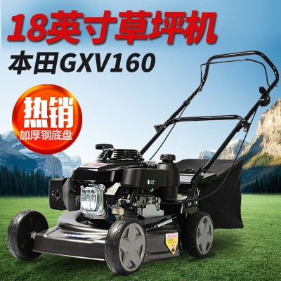 英德尔割草机本田引擎GXV160手推式草坪机四冲打草机草坪修剪机图3