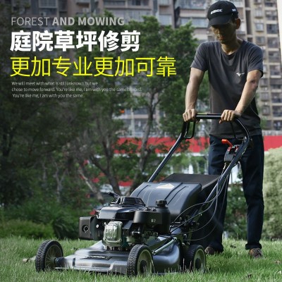 英德尔 GXV160草坪机自走式打草机21寸汽油割草机绿化修剪剪草机图3