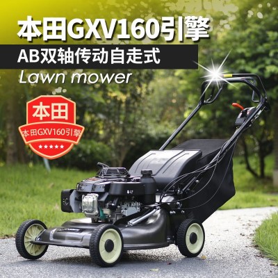 英德尔 GXV160草坪机自走式打草机21寸汽油割草机绿化修剪剪草机图2