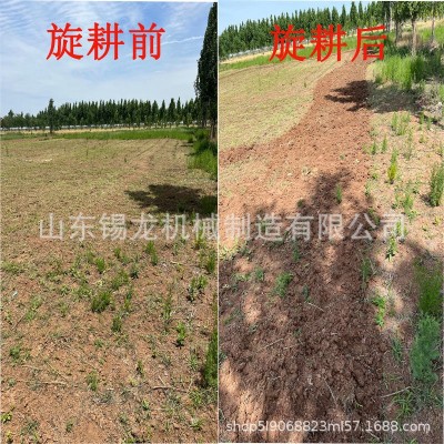 遥控微耕机 履带式松土机翻地机 耕田小型家用 菜地果园大棚麦地图3