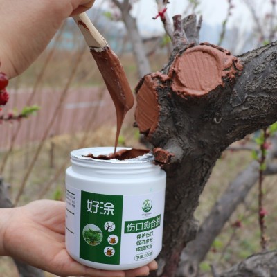 树木伤口愈合剂植物切口涂抹剂嫁接刀口涂补剂愈伤膏果树修剪愈合图4