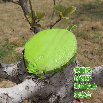 树木伤口愈合剂植物切口涂抹剂嫁接刀口涂补剂愈伤膏果树修剪愈合图2