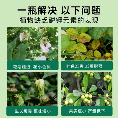 磷酸二氢钾叶面肥 花卉果蔬农用氮磷钾复合肥 果树磷钾肥厂家定制图4