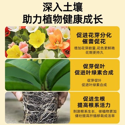 快速开花粉茶花桂花三角梅茉莉爆花通用壮苗促花园艺花肥料厂家图3