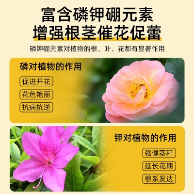 快速开花粉茶花桂花三角梅茉莉爆花通用壮苗促花园艺花肥料厂家图4