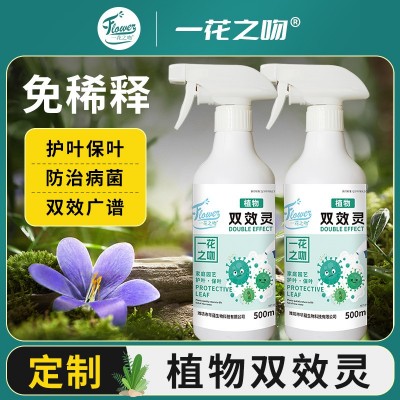花卉绿植防黄叶掉叶双效灵免稀释既喷型治菌防菌广谱双效灵图3