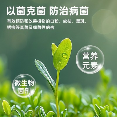 花卉绿植防黄叶掉叶双效灵免稀释既喷型治菌防菌广谱双效灵图4