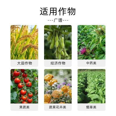 含氨基酸水溶肥料果树蔬菜药材通用肥料氨基酸中微量元素叶面肥图3