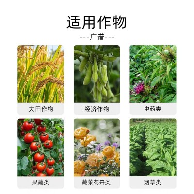 苗郎中氮磷钾大量元素水溶肥20-20-20 高钾型平衡型叶面喷施膨果图4