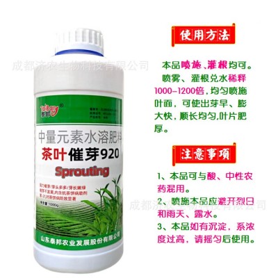 茶叶催芽920茶满国催芽剂叶绿叶嫩芽多绿叶绿增大增厚1000g液体图4