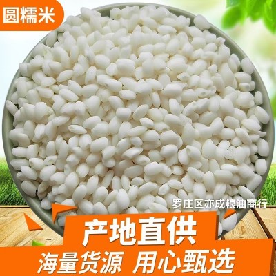 五常圆糯米批发新东北糯米白糯米50斤粘糯米五谷杂粮江米图2