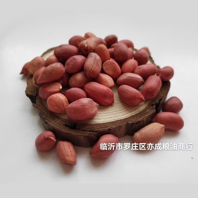四粒红花生米批发 去壳红花生米50斤东北生花生米图3