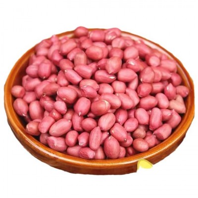 四粒红花生米批发 去壳红花生米50斤东北生花生米图5