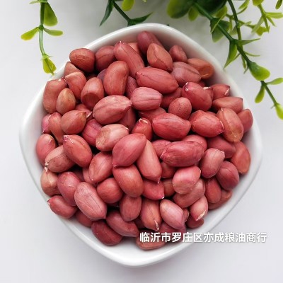 四粒红花生米批发 去壳红花生米50斤东北生花生米图4