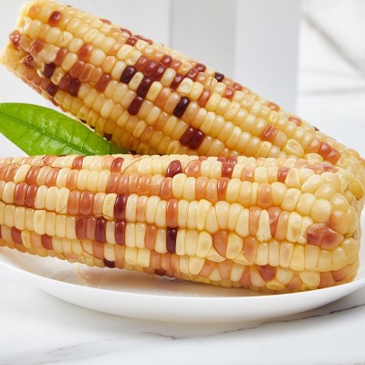 黑糯玉米 真空包装黄糯玉米可代发资质齐全花玉米甜糯玉米10根装图3