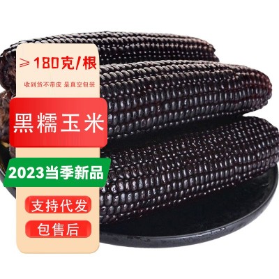 黑糯玉米 真空包装黄糯玉米可代发资质齐全花玉米甜糯玉米10根装图5