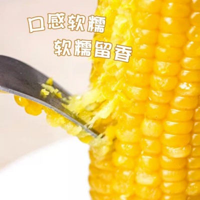 黄糯玉米 真空包装花玉米甜糯玉米8根装 黑糯玉米可代发资质齐全图4