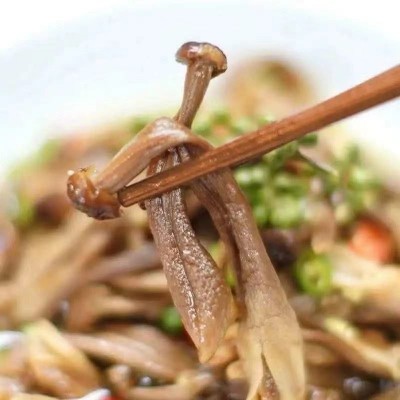 新货古田鹿茸菇食用菌干货脆脆菇50克包装各种规格各类平台代发图4