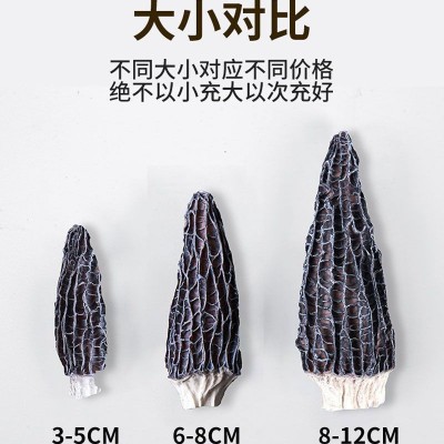 【4-6厘米】羊肚菌古田食用菌精选头茬优质干货大小包装500g规格图4