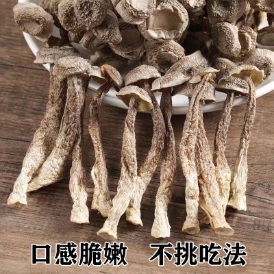 【10斤大份量】古田鹿茸菇食用菌干货脆脆菇各种规格各类平台代发图2
