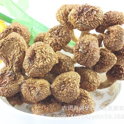 源菌行滑子菇食用菌古田特产优质珍珠菇干货滑菇蘑菇散装批发图3