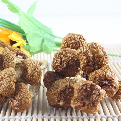 源菌行滑子菇食用菌古田特产优质珍珠菇干货滑菇蘑菇散装批发图4