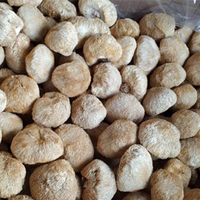 厂家直供古田新货猴头菇干货批发散装新鲜食用菌餐饮酒店食材批发图3