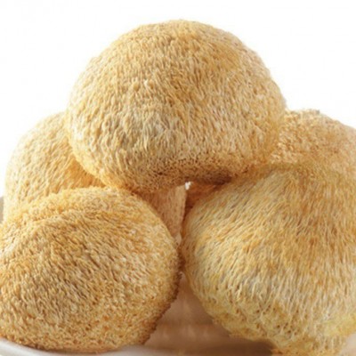 厂家直供古田新货猴头菇干货批发散装新鲜食用菌餐饮酒店食材批发图4