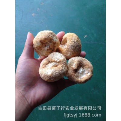 厂家直供古田新货猴头菇干货批发散装新鲜食用菌餐饮酒店食材批发图5