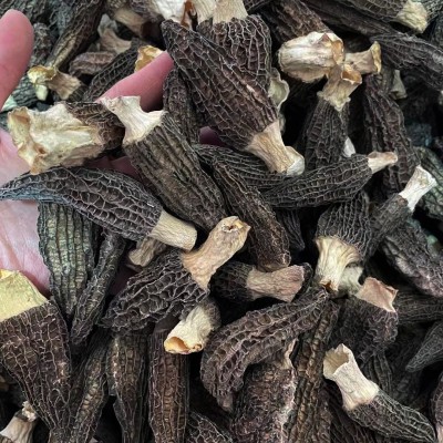 源头厂家头茬新货羊肚菌250克食用菌干货特产菌汤包酒店供餐饮食图5