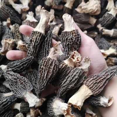 源头厂家古田竹荪产地直供竹荪无熏硫本色食用菌干货酒店火锅食材图2