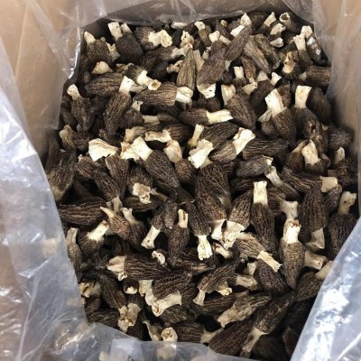 源头厂家古田竹荪产地直供竹荪无熏硫本色食用菌干货酒店火锅食材图4