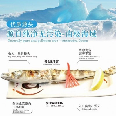 南极冰鱼500g冷冻海鲜批发代发餐饮酒店饭店烧烤食材冰鲜整条海鱼图2